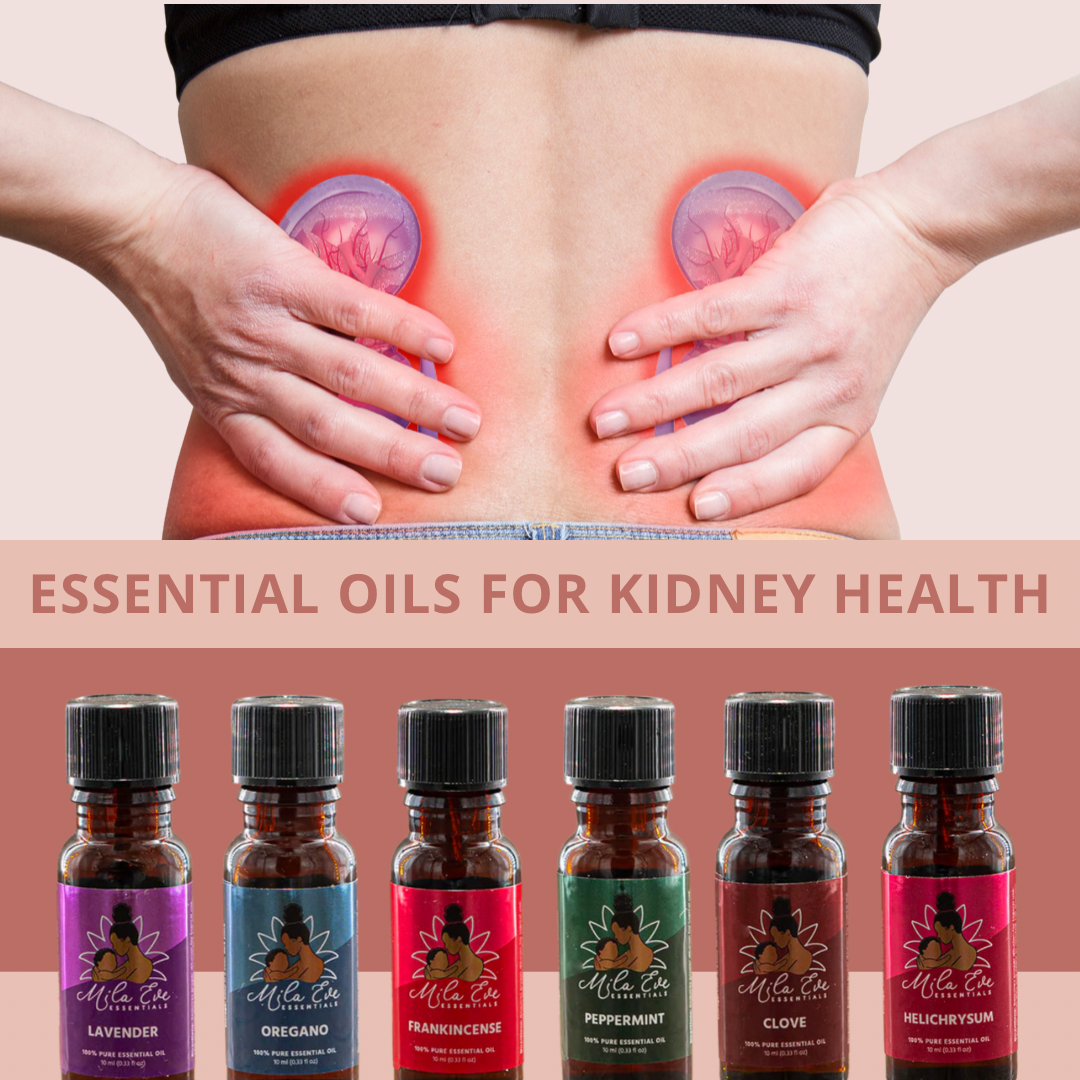 Kidney Health and Essential Oils Mila Eve Essentials