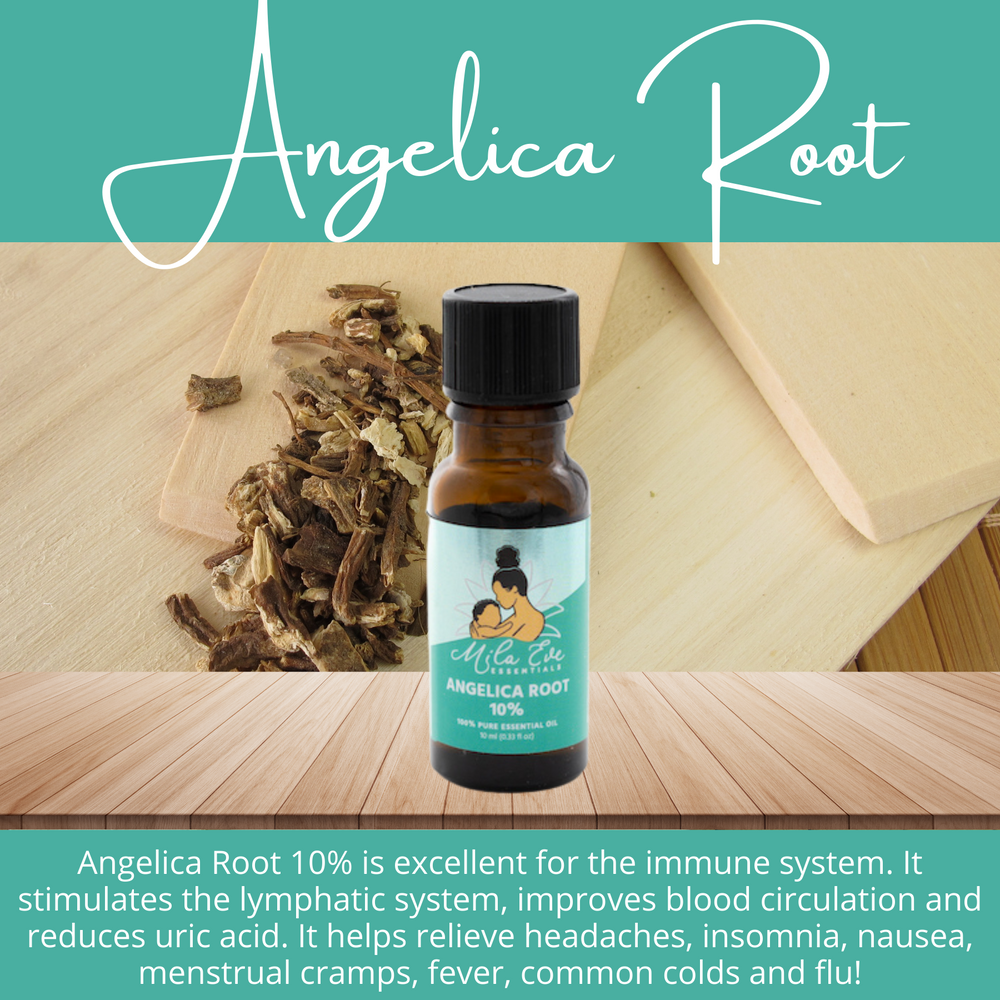 Welcome the Angels with "Angelica Root" Essential Blend